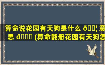 算命说花园有天狗是什么 🐦 意思 🐒 (算命翻册花园有天狗怎么办)